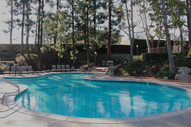 This image displays the apartment swimming pool photo inside the website carousel.